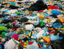 Bahaya Sampah Plastik bagi Kesehatan Manusia