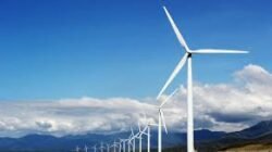 Transisi Energi RI dan Strategi IPO Perusahaan Ramah Lingkungan Semakin Jelas